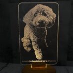 LEDアクリルフォトライト