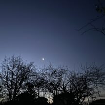 やっと修学旅行に行けました