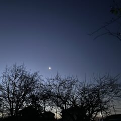 やっと修学旅行に行けました