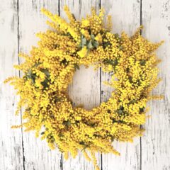 3月8日　「国際女性デー」と「ミモザの日」