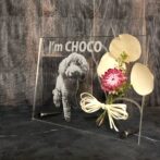 アクリルフォトプレートミニブーケ付き