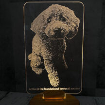 新作のLEDアクリルフォトライト