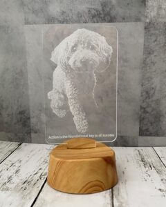 LEDアクリルフォトライト