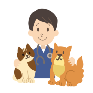 ペットの治療費とペット保険：あなたのペットは守られていますか？